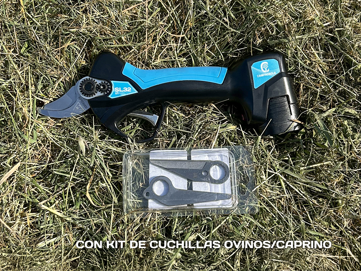 campagnola SL32 V1 ambientato 2 ES